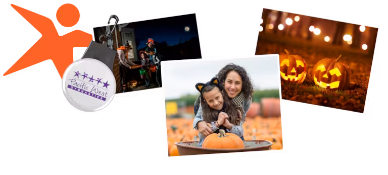 Collage of photos from newsletter.
